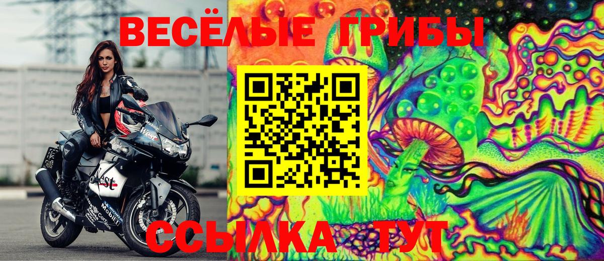 Галлюциногенные грибы мицелий Иваново