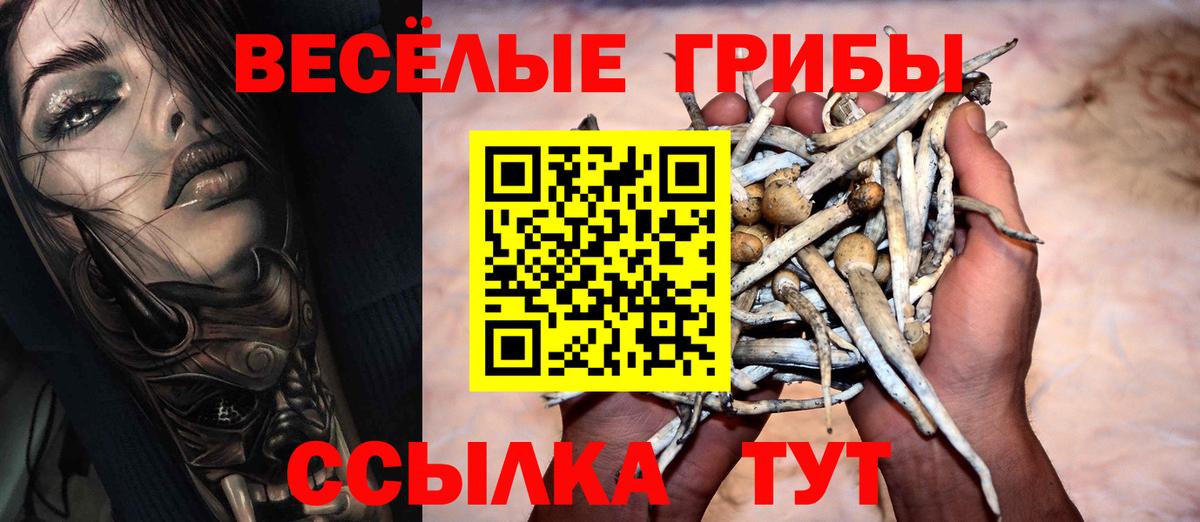 Иваново  Псилоцибиновые грибы ЛСД  Вход с VPN 